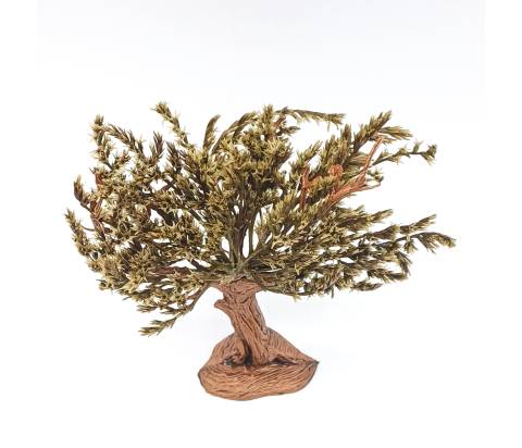  h 14 cm - Alberi Presepe