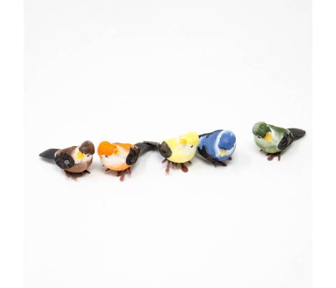  Uccellini colorati - Animali Piumati