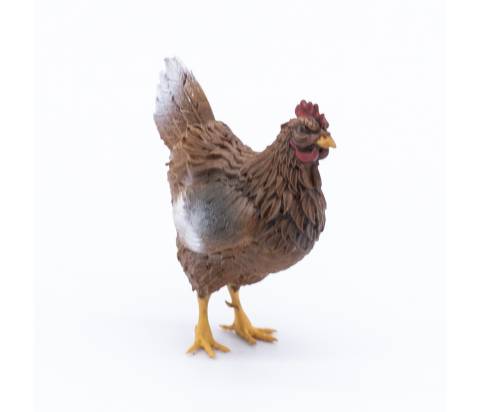 Gallina in Piedi x statue h 30 cm