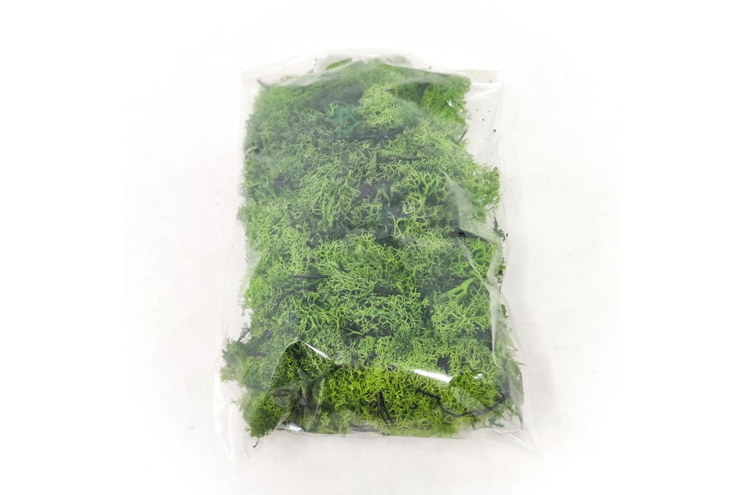 Verde Moss - Vegetali, Ghiaia, Pietrisco