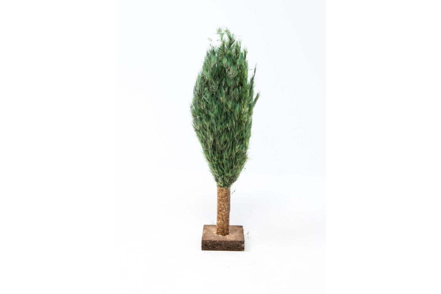 Altezza 20 cm - Alberi Presepe