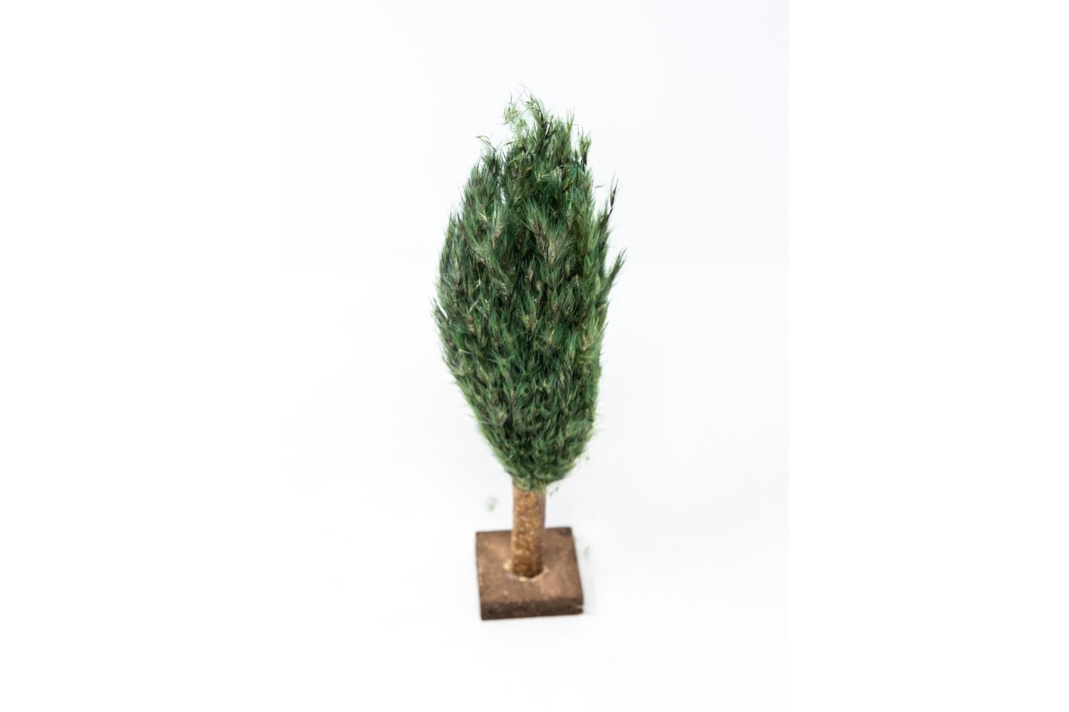  Altezza 20 cm - Alberi Presepe