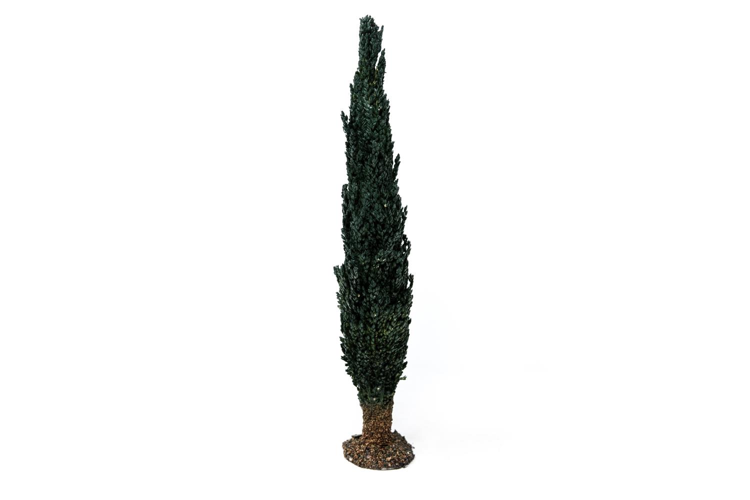 h 15 cm - Alberi Presepe