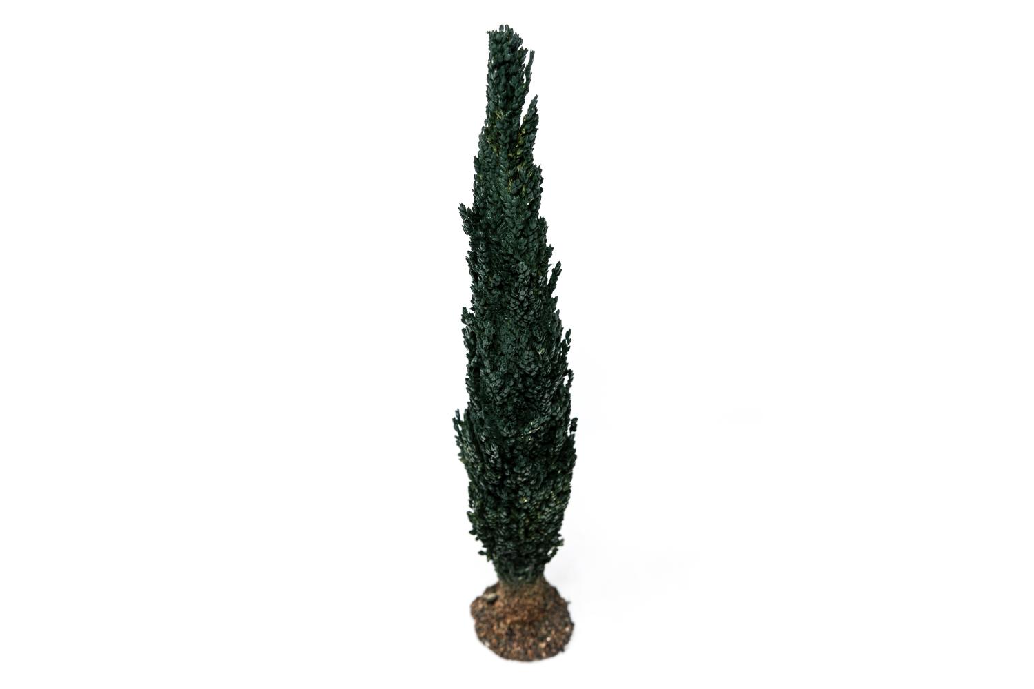  h 15 cm - Alberi Presepe